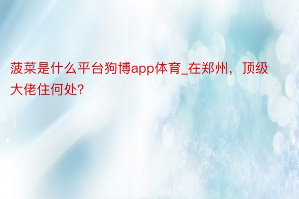 菠菜是什么平台狗博app体育_在郑州，顶级大佬住何处？