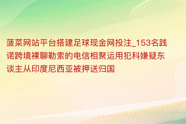 菠菜网站平台搭建足球现金网投注_153名践诺跨境裸聊勒索的电信相聚运用犯科嫌疑东谈主从印度尼西亚被押送归国